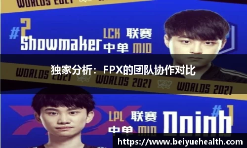 独家分析：FPX的团队协作对比